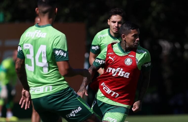 Com retorno de ídolo, Palmeiras fará jogo-treino na Academia de Futebol